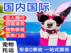 克拉玛依古海机场货运国际宠物托运 【国